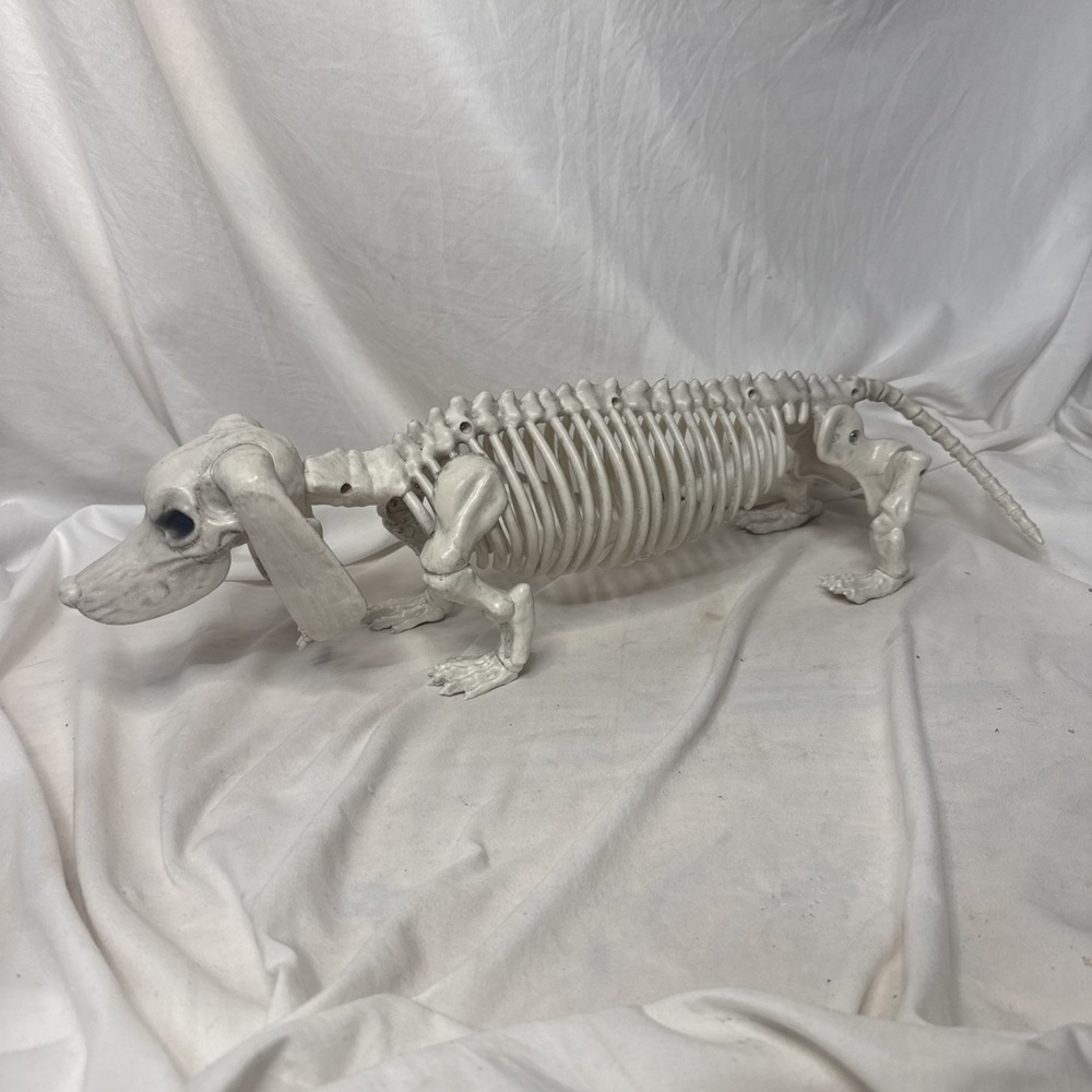 Hyde and Eek! Dachshund Dog Skeleton Figurine Halloween Decor Goth Spooky 19"